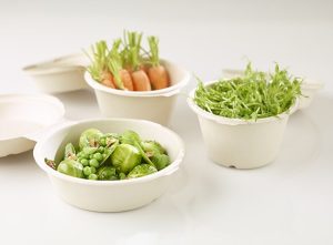 ظروف یکبار مصرف گیاهی