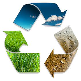 ظروف گیاهی یکبار مصرف