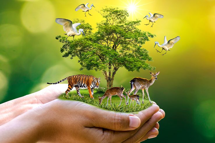 حفظ تنوع زیستی